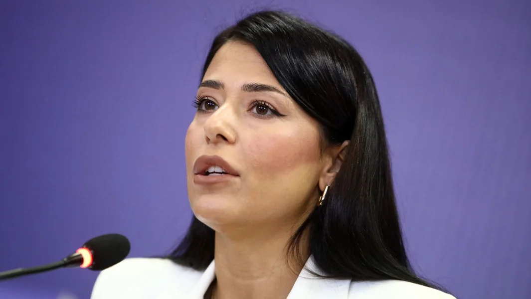 Latinopoulou o slučaju sa kamerama: 'Uradila sam to za one koji pate od loših suseda'