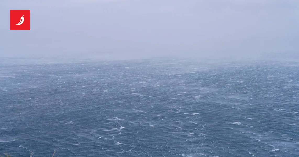 Zbog bure ograničenja na A1, u prekidu dve katamaranske linije