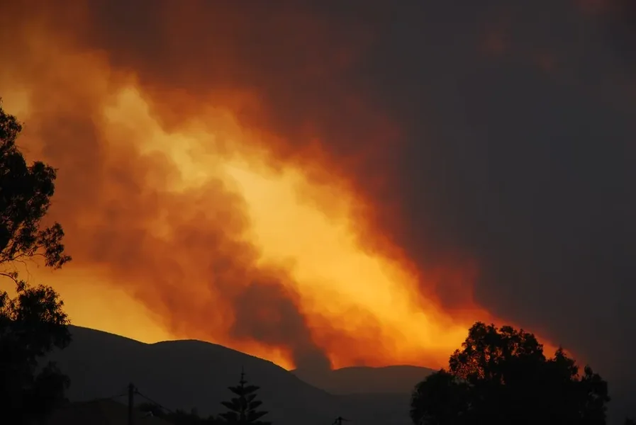 Vrućine od ekstremnog El Nino će izazvati 450.000 smrtnih slučajeva u narednih šest meseci