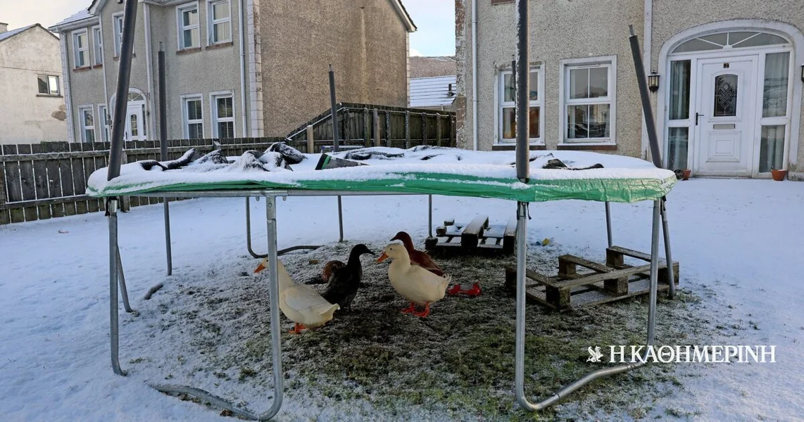 Stotine hiljada bez struje u Francuskoj i Velikoj Britaniji – Zatvorene škole i poteškoće u saobraćaju