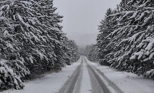 UHMR: Hladan vazduh sa severa od popodne donosi sneg kroz celu drzavu