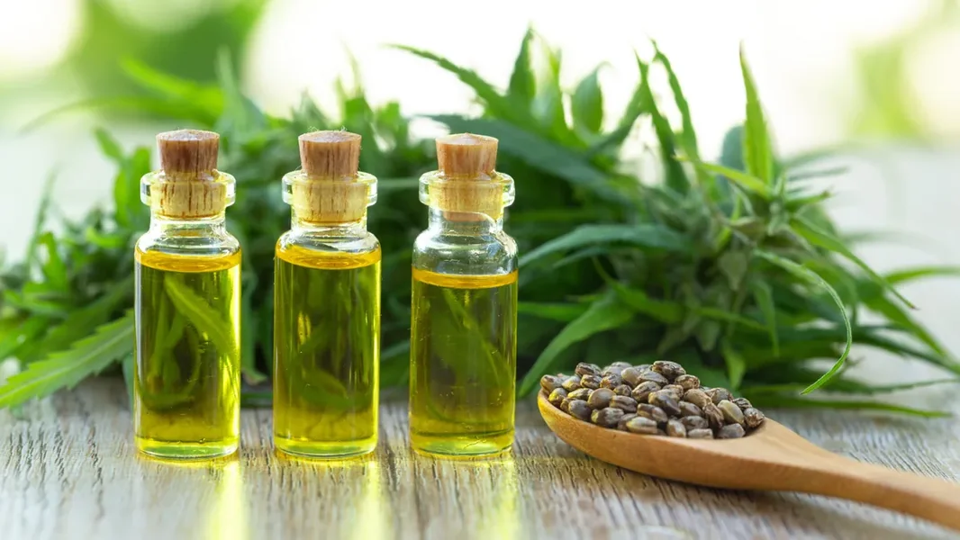 CBD ulje: šta radi, kako deluje i koje su njegove opasnosti?