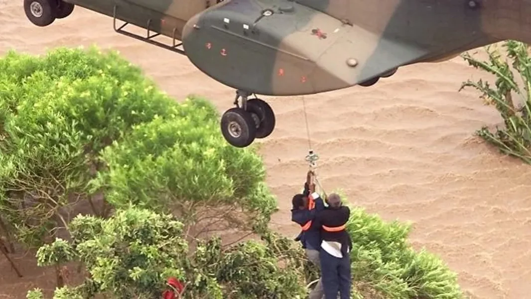 Čudesno dete rođeno na vrhu drveta tragično mlado preminulo - ORIGO