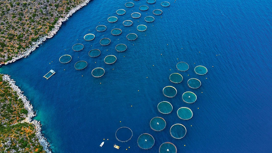 Rat investitora i banaka za Avramar - Documento