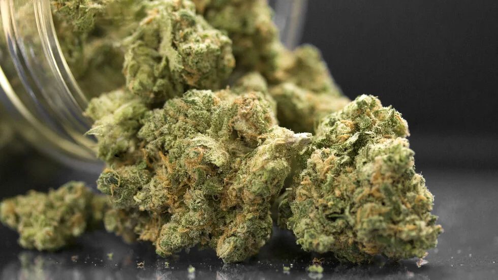 Zaplijenjeno gotovo 700 kg marihuane u teretnom kamionu koji dolazi iz Turske