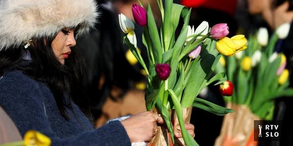 U Amsterdamu na Dan tulipana podeljeno je oko 200.000 cvetova