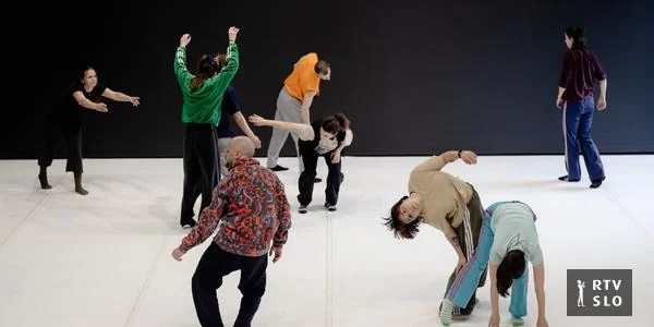 Celjski odbornici su odobrili osnivanje Javnog zavoda za razvoj savremene plesne umetnosti