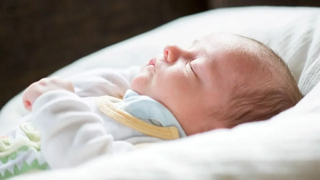 Koncz Zsófia: Putujuća kolijevka krenula na put – zajedništvo nježno ljulja novi život