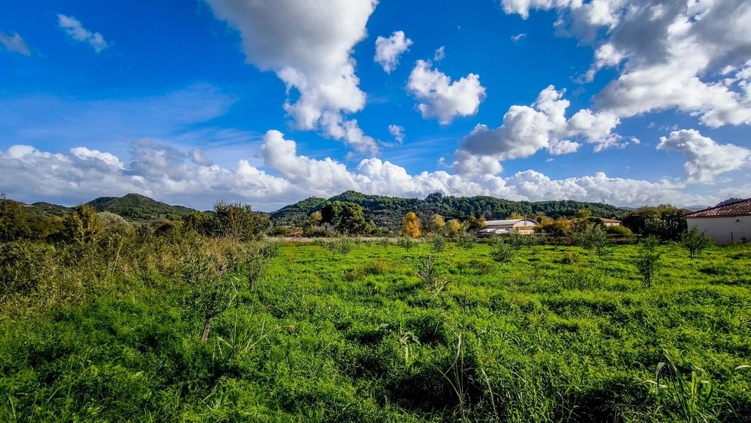Alkionidne dane 2026: «Biće ponovo u februaru» – Documento