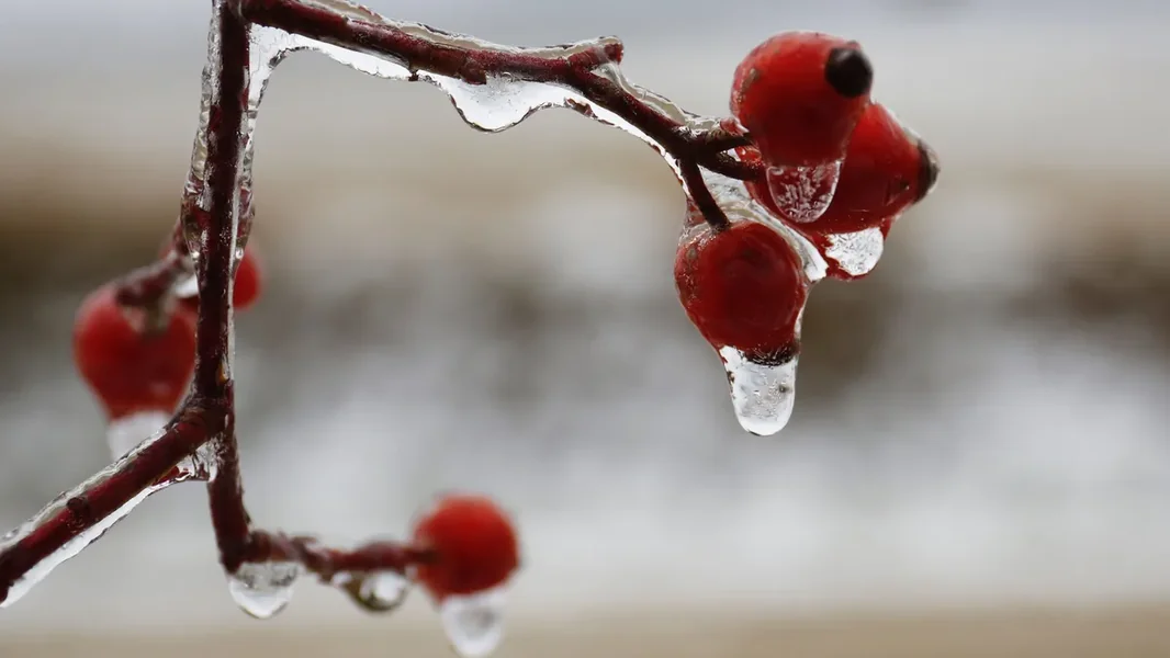 -22 stepena: stiže kiša koja se smrzava i ledena kiša, putevi biće opasni - ORIGO