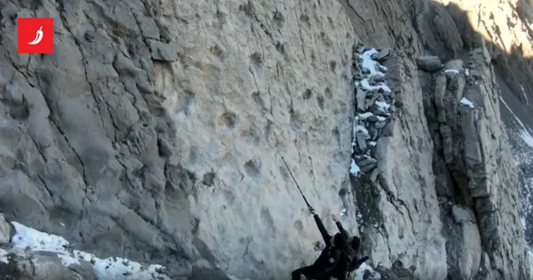 Hiljade otisaka dinosaurusa starih 210 miliona godina otkrivenih na italijanskoj planini