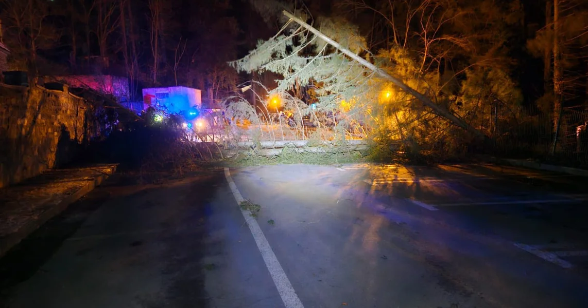 Vetar sa naletima od 110-130 km/h u Sinaiji: desetine drveća, oboreni stubovi i mobilizovane ekipe za intervenciju