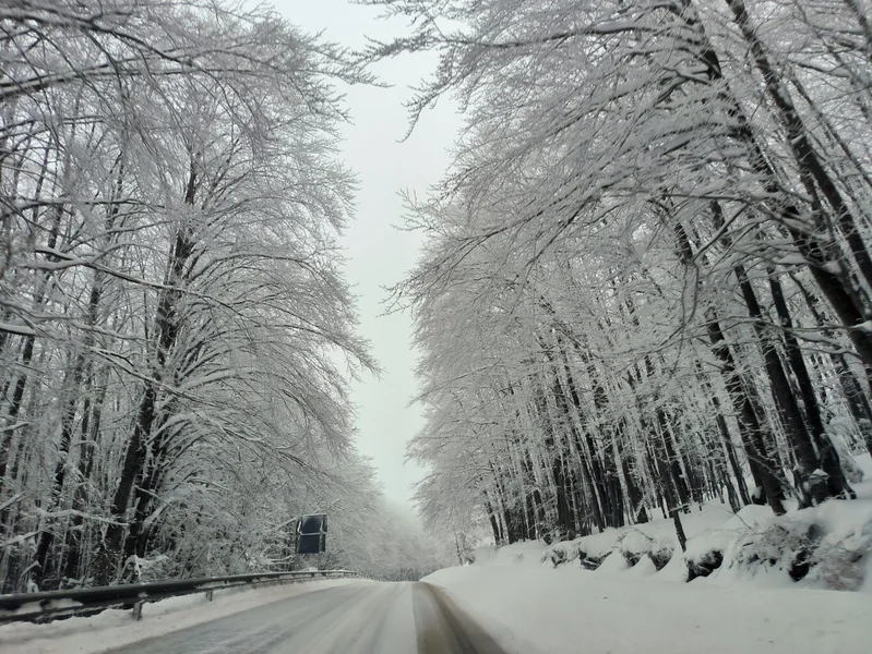 Ujutro najhladnije u Berovu sa -11 stepeni, sneg do 24 centimetara na Popovoj Šapki - Nova Makedonija