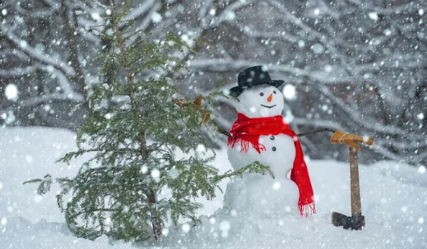 Žuti kod za snežne oluje i poledicu, za Božić: Bukurešt i još 19 okruga su na meti upozorenja ANM