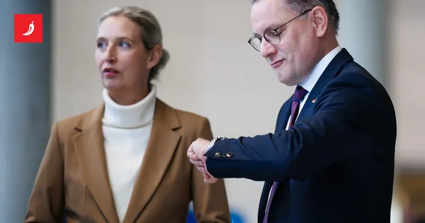 AfD optužuju da špijuniraju za Rusiju. "Zanimaju ih najsitniji detalji"