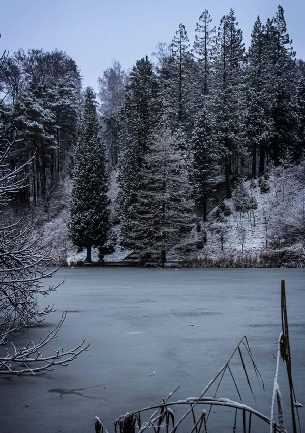 Zamrznuto jezero Menke Trajkoska-Ekhard – Fotografija nedelje - Nova Makedonija