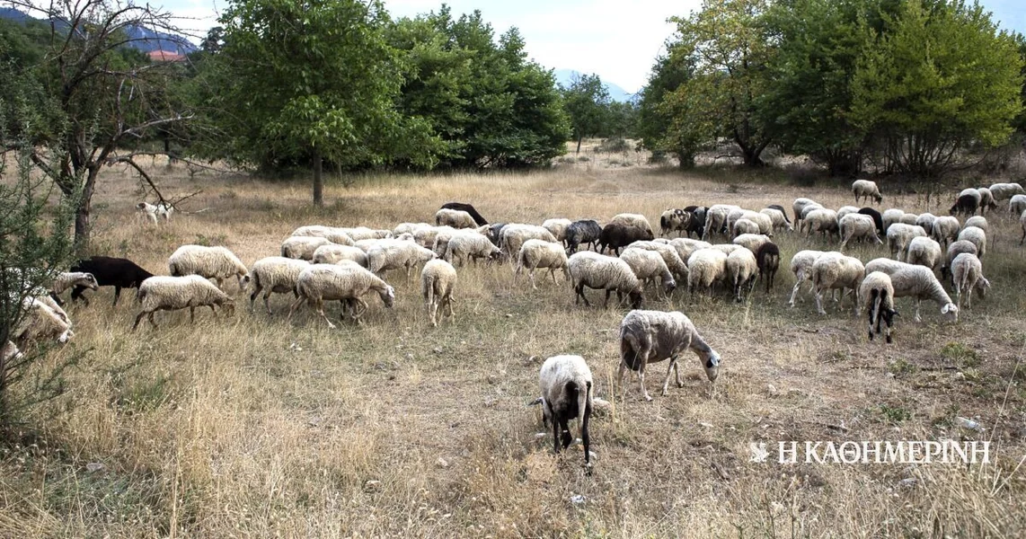 OPEKEPE: Nejasnoća stvara zabrinutost