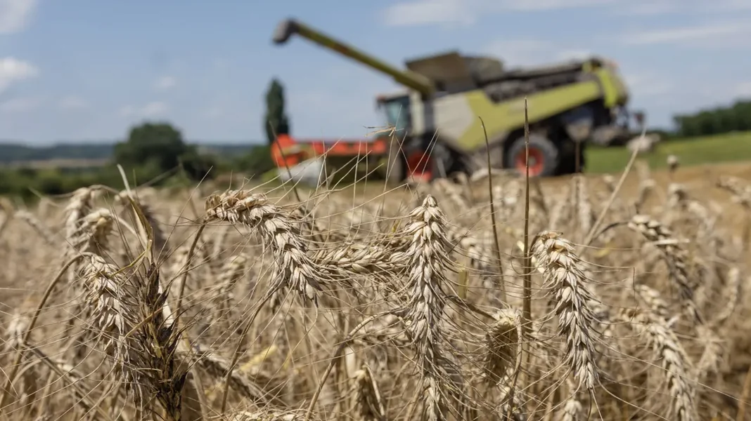 Gazdari, pazite, ove poreze ne morate da placate od januara.