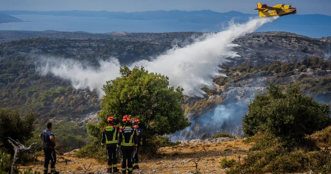Kanaderi gase požare, ali zapuštena zemlja ih i dalje obilato hrani