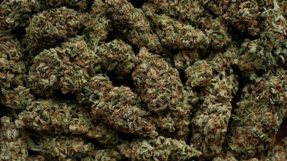 Zaplijenjena marihuana vredna 6 miliona evra u kamionu na Kapitan Andreevo