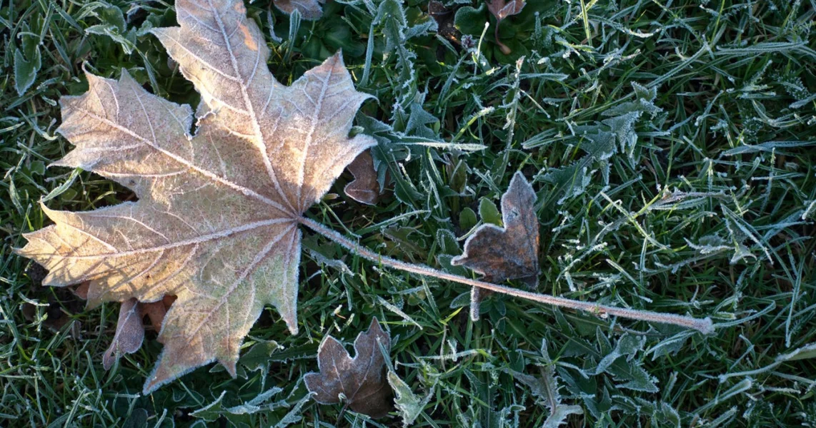 Minus 3,7 stepeni Celzijusa u Miercurea-Ciuc. Drugi put ove jeseni zabeležene su negativne vrednosti u Harghiti