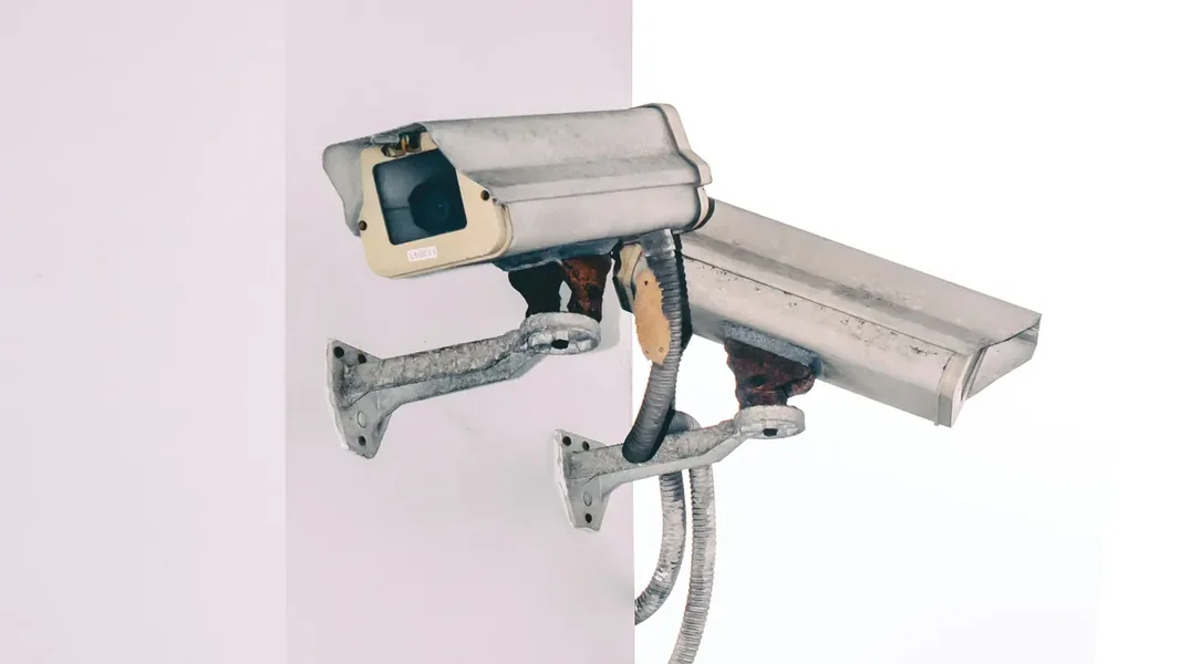 Majmun provalio u američku prodavnicu muzičkih instrumenata – na slikama potpuna haos