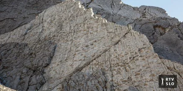 Fotograf u planinskoj stijeni neočekivano uhvatio hiljade otisaka dinosaura