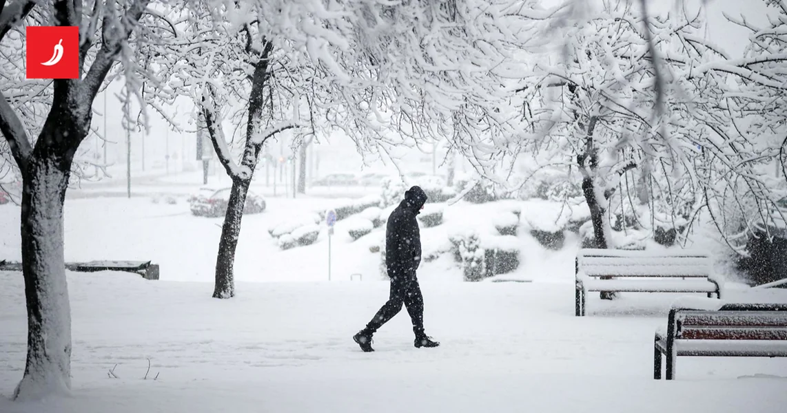 Sneg u Sarajevu srušio drvo, palo je na ženu. Umrla je