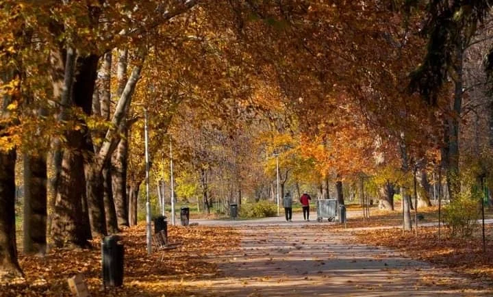 Studeni jutra, relativno topli dani - Nova Makedonija