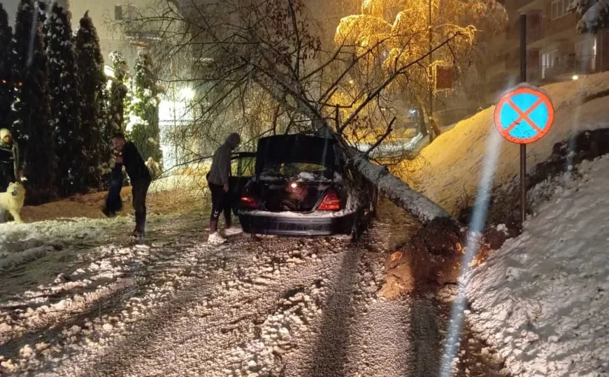 Problemi na putevima: Stablo palo na automobil u Goraždu