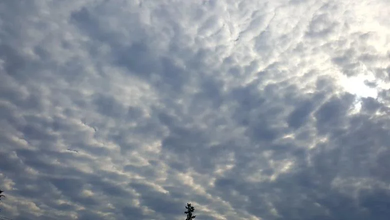 Vedro vreme u većem delu zemlje, nedelja sa blagom kišom