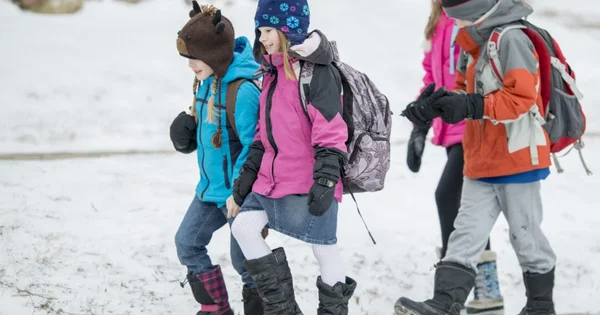 Đaci ulaze u božićni raspust: 19 dana slobodnog od nastave. Na koji datum će se vraćati u školu 2026.