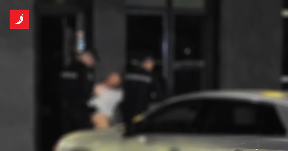 Žena ubijena rano jutros u Novom Sadu, uhapšen sin