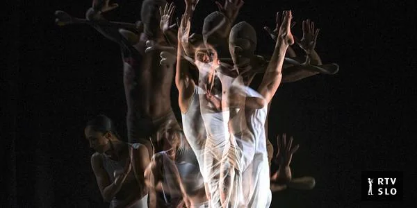 S potvrdom odbornika Nove Gorice, zavod za savremeni ples još jedan korak bliže osnivanju