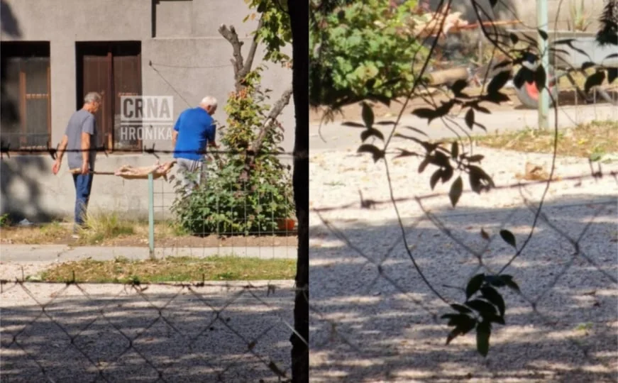 Pojavio se snimak: U centru Sarajeva okrenuli ražanj?