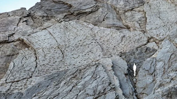 Italija: Hiljade otisaka dinosaura na stenama Alpa - Documento