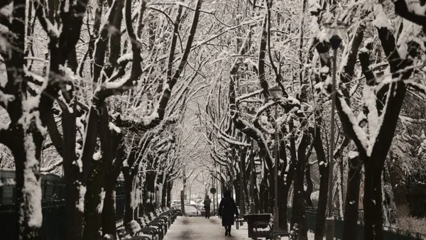 Kako će biti vreme za Božić i Novu godinu. Ažurirana prognoza ANM najavljuje temperature ispod proseka tog perioda.