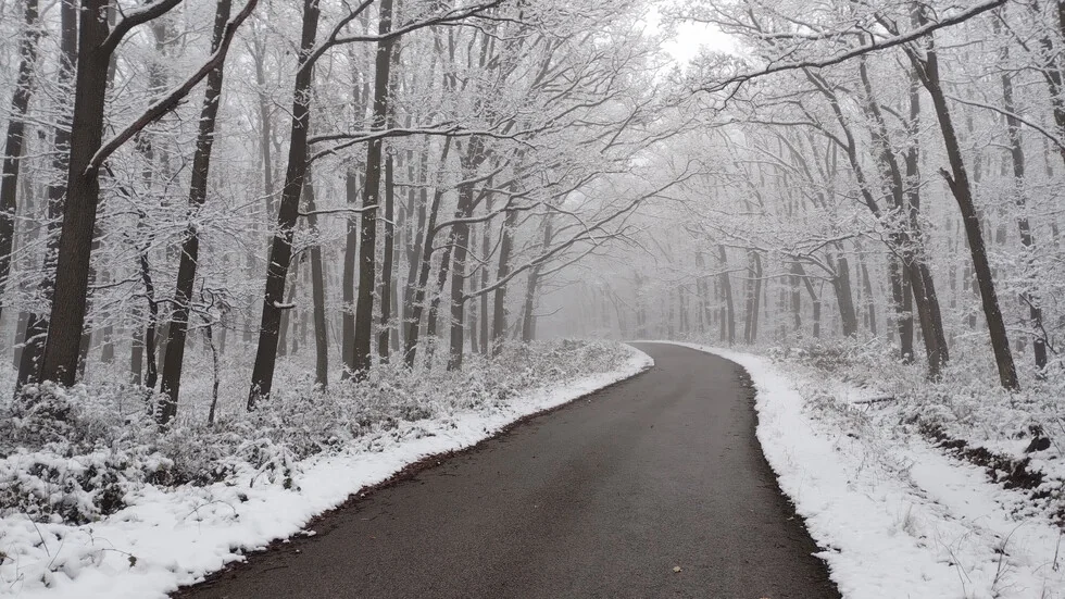 Šta je crni led na putu?