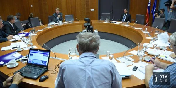 Istraga o slučaju koji nema javnog značaja ne može biti u skladu sa Ustavom.