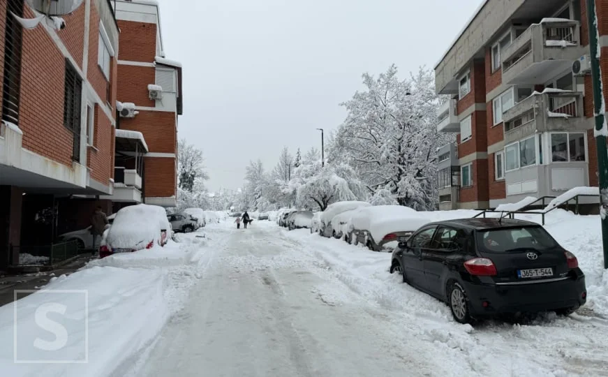 Anketa | Građani Sarajeva, da li ste vidjeli grtalicu u zadnjih 12 sati?