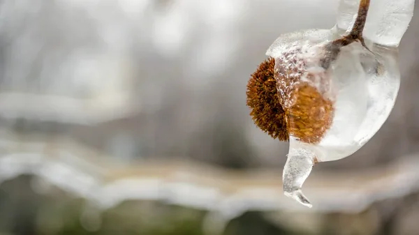 Kakvo vreme nas očekuje na Badnje veče
