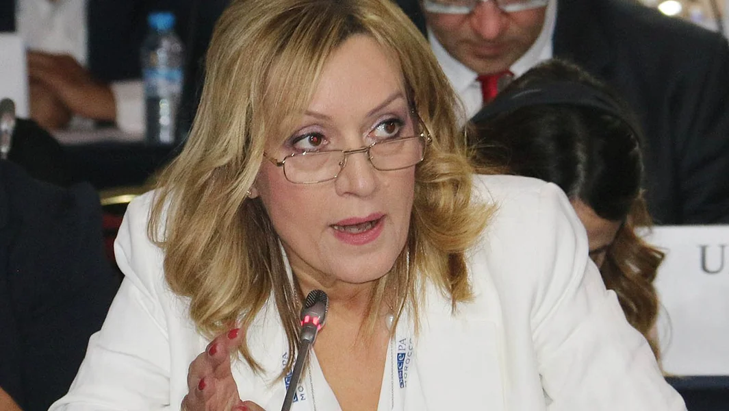 Kipros: 'Ni jedan hibridni rat, ni turski prst - Ovi su krivi' - Anartisi Charalambidou - Documento