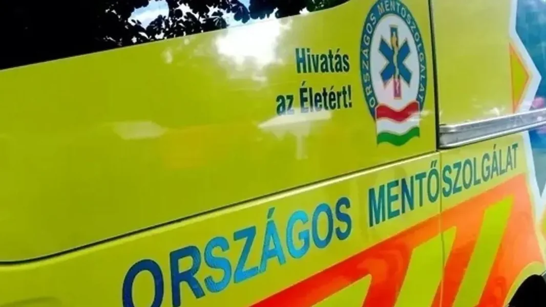 Srnjak skočio na vozilo Hitne pomoći, sudari sa divljači u županiji Veszprém – fotografije