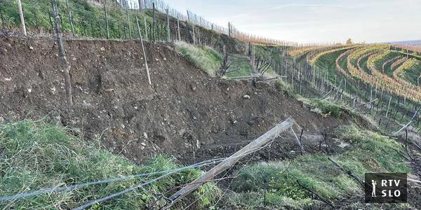 U Goriškim brdima novembarska ujma po proceni opštine prouzrokovala štetu od 13 miliona evra