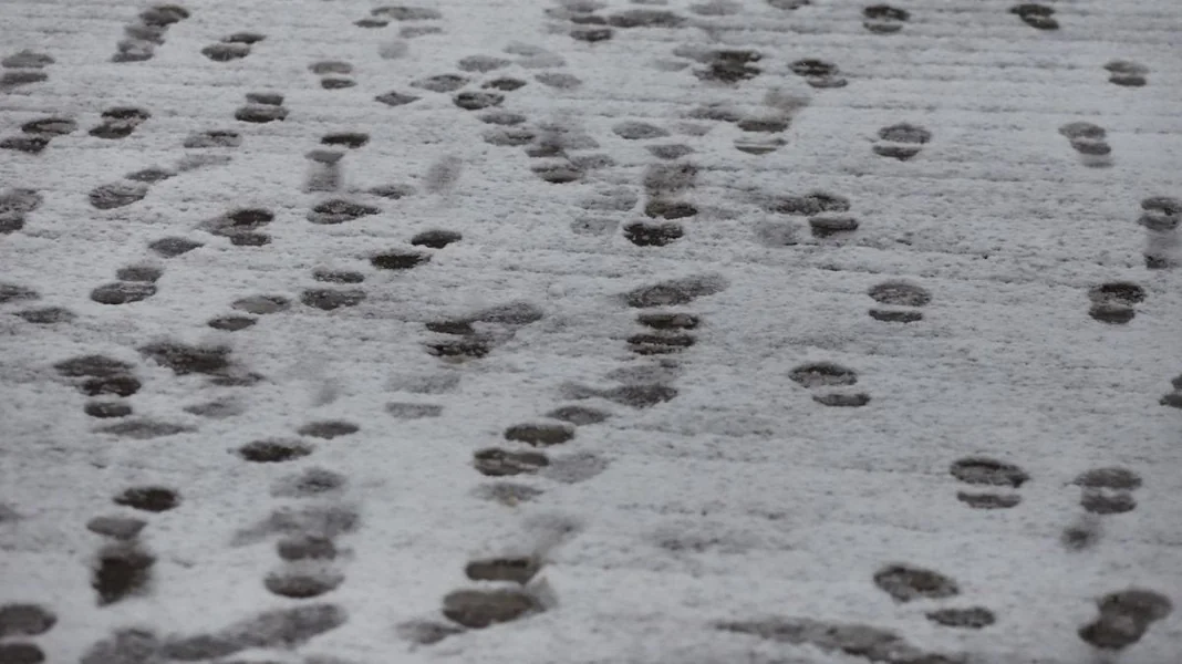 Vreme u periodu od 12. januara do 9. februara 2026. ANM najavljuje talas hladnoće, praćen temperaturama iznad normale za taj period.