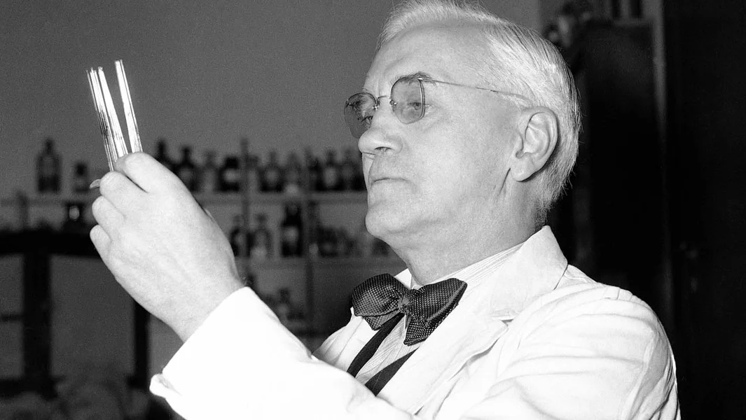 Jedan nesrećan događaj: Otkrivanje penicilina Aleksandra Fleminga - Documento