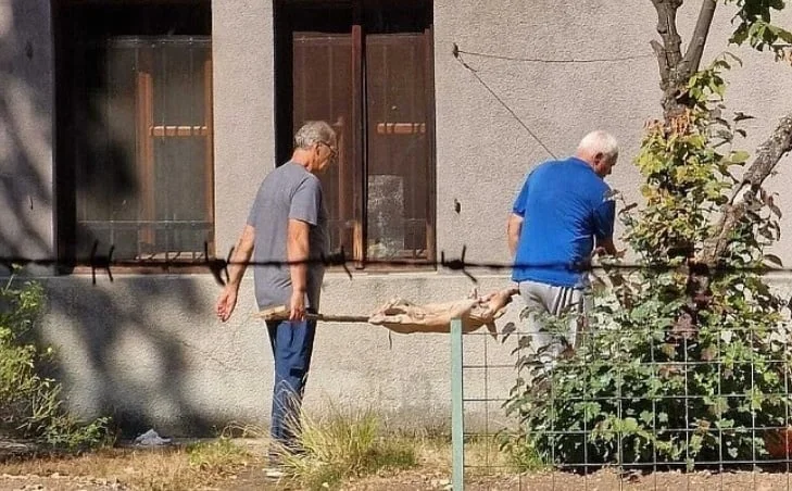Prase na ražnju u Botaničkoj bašti: Policija kaznila jednu osobu 200 KM, Katica poslao poruku
