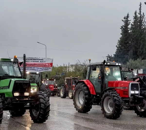 Vode primarni sektor ka izumiranju - Documento