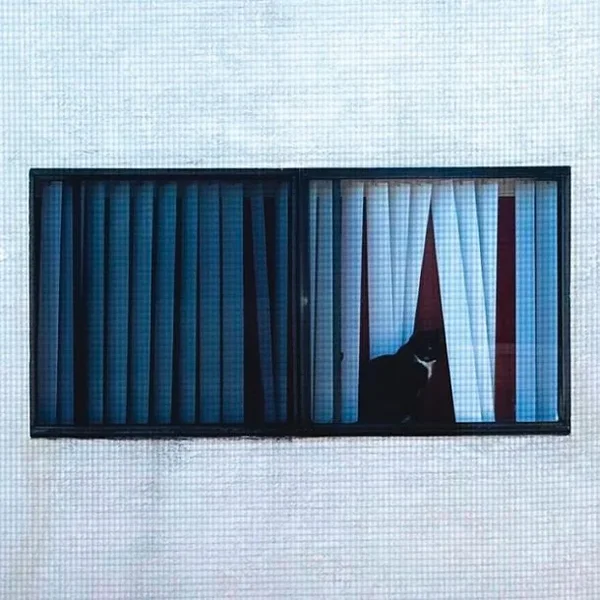 Sega Bodega: Stvorio sam Univerzum ...