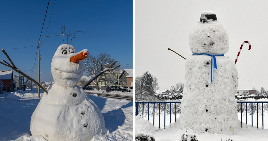 FOTO Koji vam je bolji? Imaju više od 3 metra visine, hvale se ponosni 'graditelji'